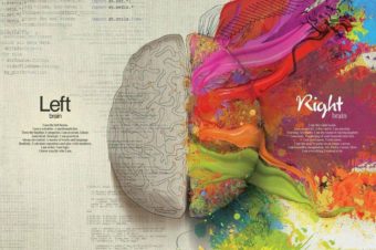 Kurz kresby pravou mozkovou hemisférou